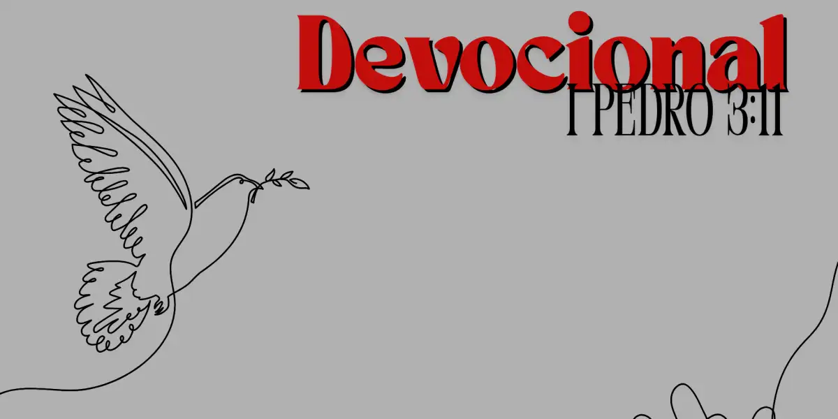 Devocional | Alcançando a verdadeira paz